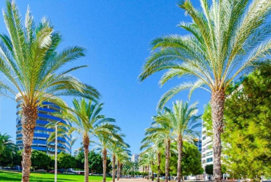 Benidorm Bali Area Leilighet Eksteriør bilde